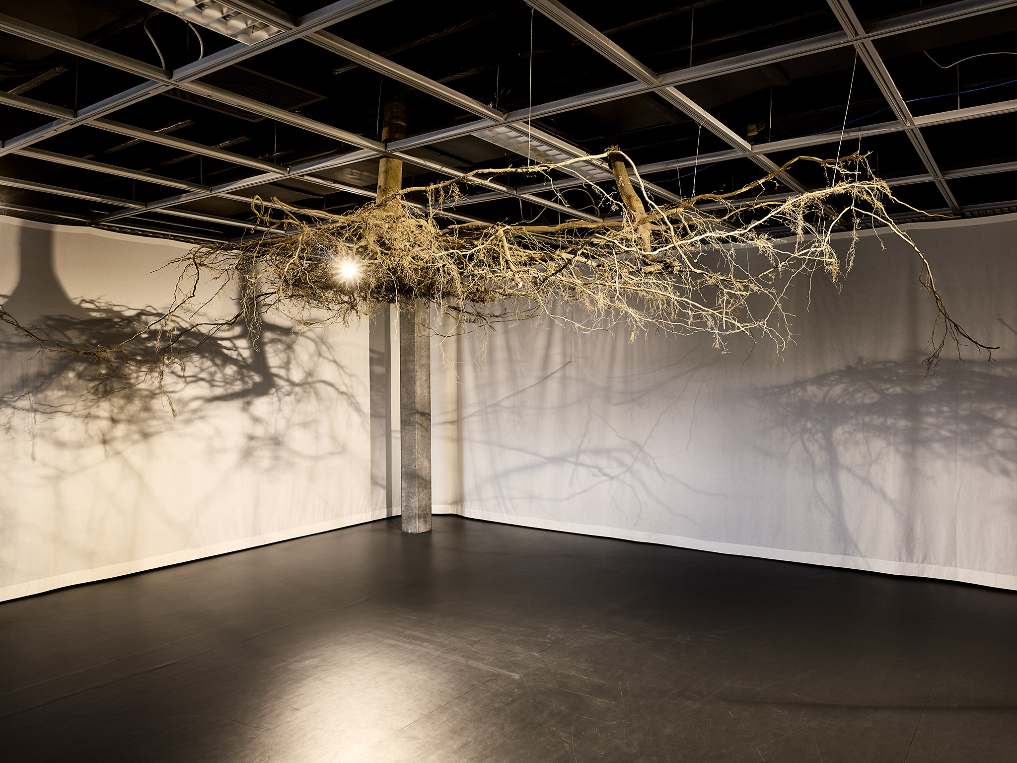 LIVE MATTER - Design Vegetal